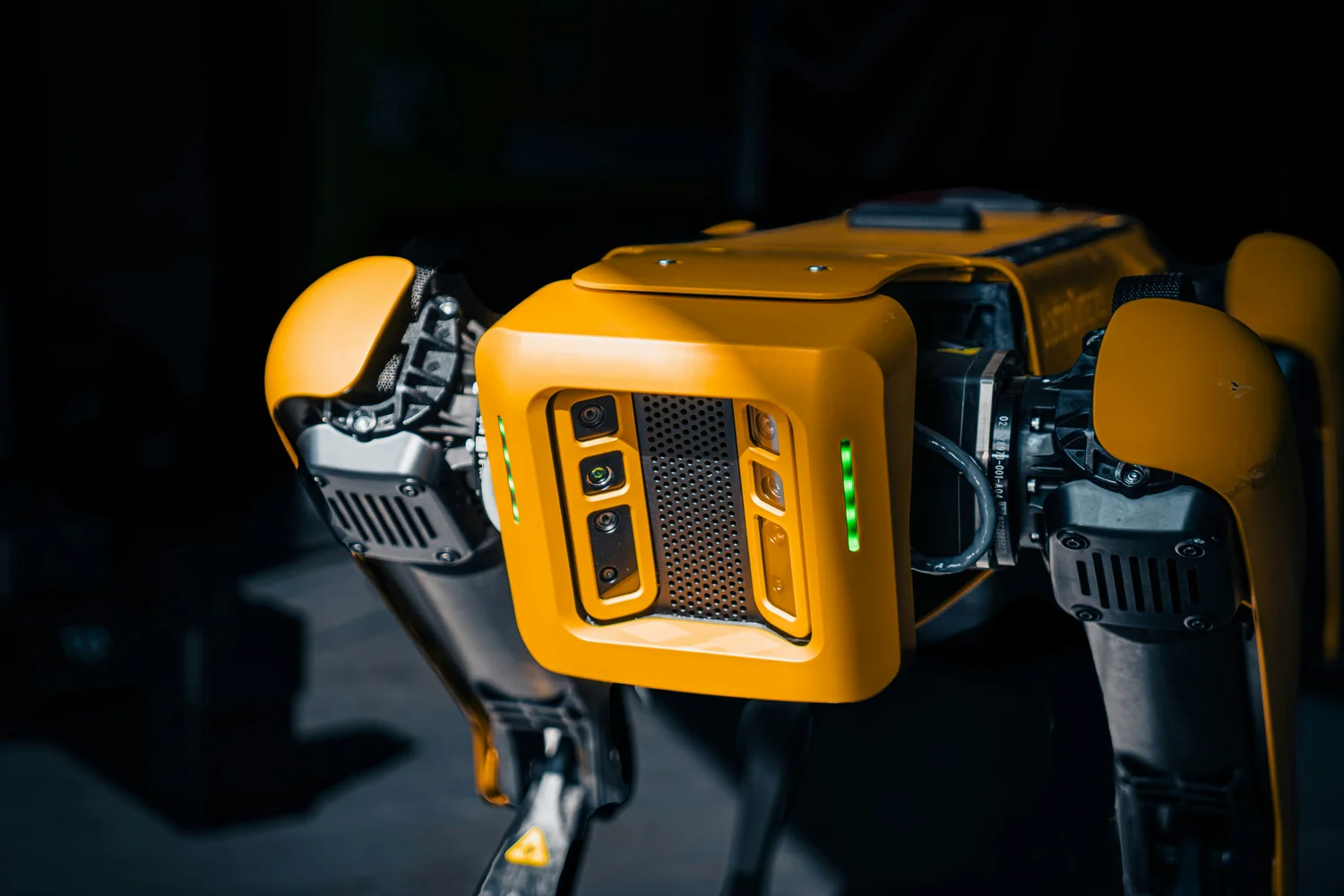 Un robot chien de boston dynamics